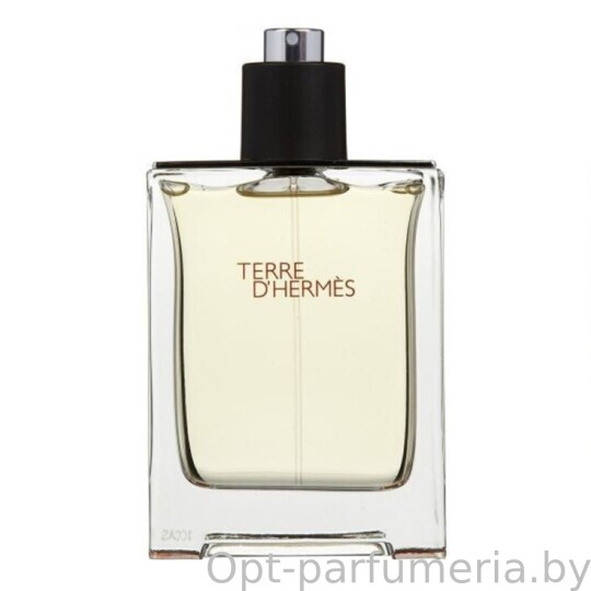 Hermes Terre D'Hermes Eau de Toilette Men 100 ml (LUXE EVRO)