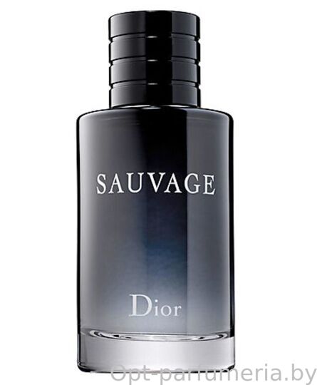 Christian Dior Sauvage Men edt 100 ml (LUXE EVRO)