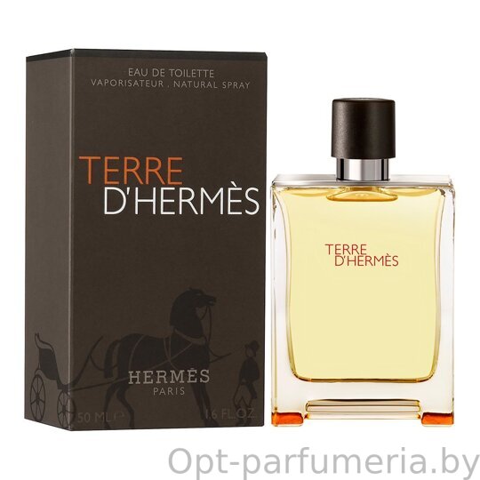 Hermes Terre D'Hermes Eau de Toilette Men 100 ml (LUXE EVRO)