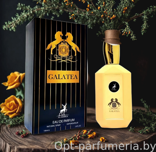 Alambra Galatea For Men edp 100 ml