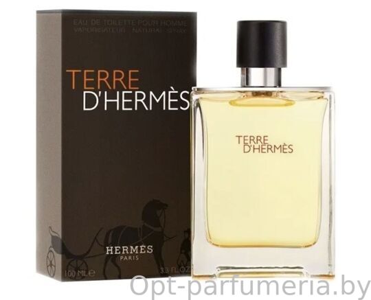 Hermes Terre D'Hermes Eau de Toilette Men 100 ml (LUXE EVRO)